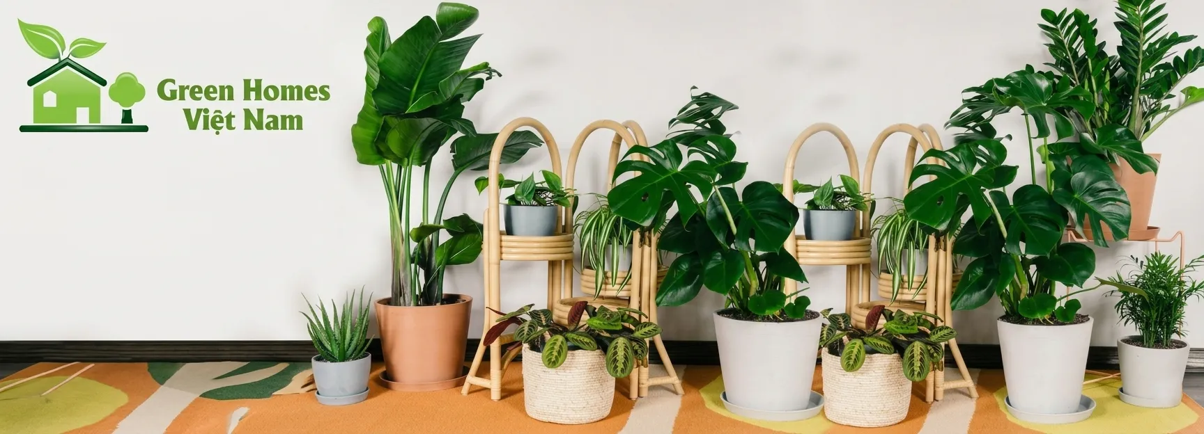 Cho thuê cây cảnh văn phòng - Green Homes